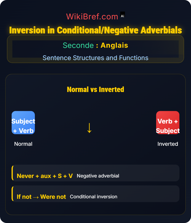 Emphasis and Inversion Sentence Structures and Functions
