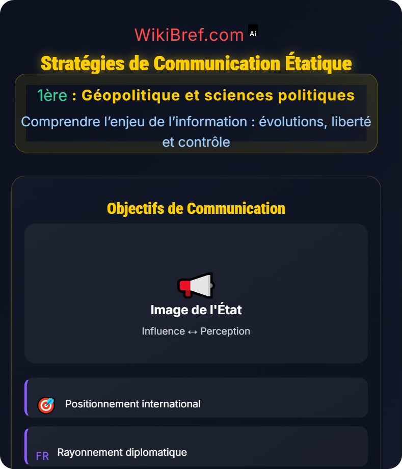 Information et géopolitique Comprendre l’enjeu de l’information : évolutions, liberté et contrôle