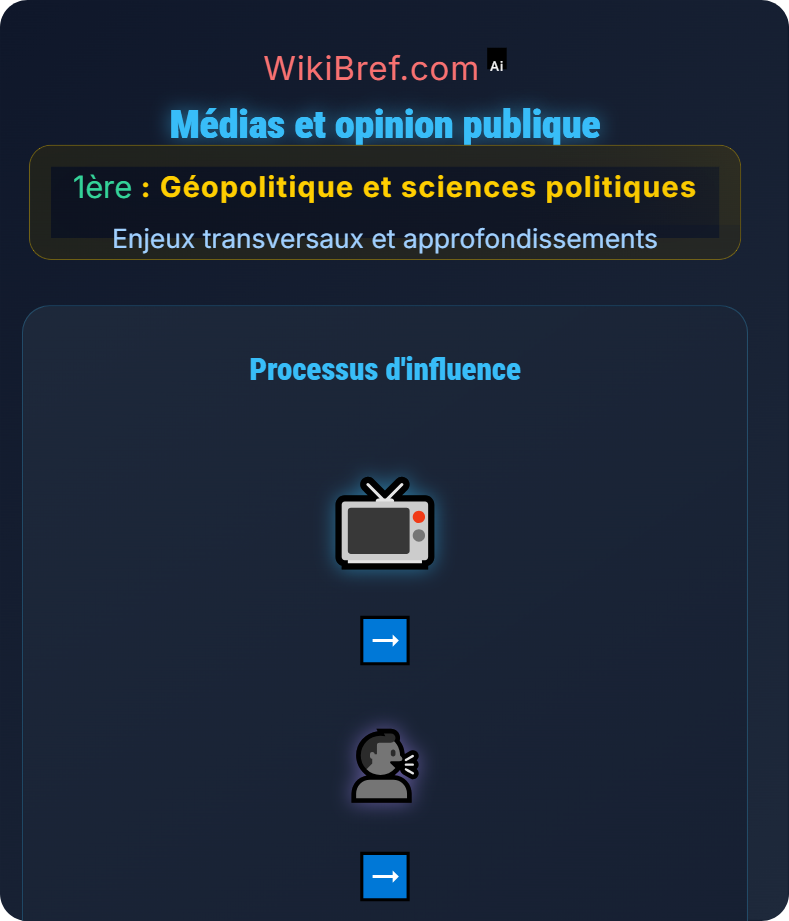 Citoyenneté et participation politique Enjeux transversaux et approfondissements