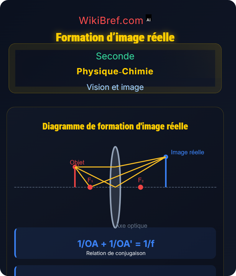Lentilles convergentes et formation d’images Vision et image
