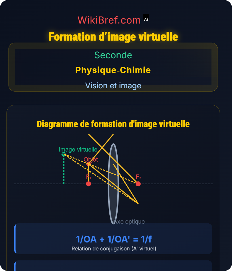 Lentilles convergentes et formation d’images Vision et image
