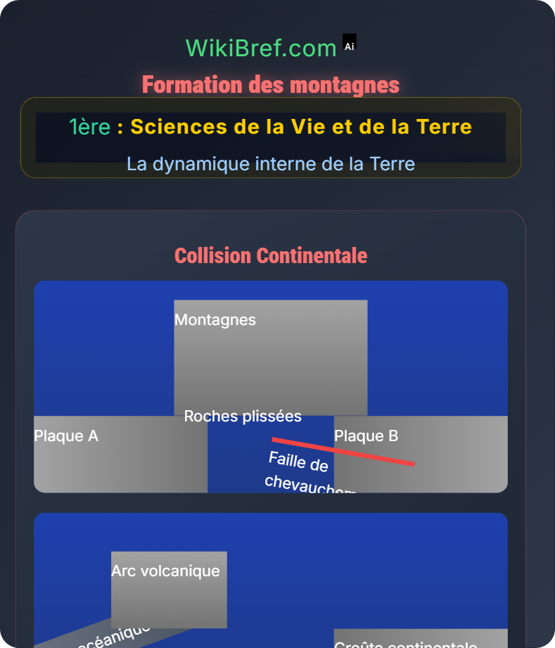 Manifestations géologiques associées La dynamique interne de la Terre