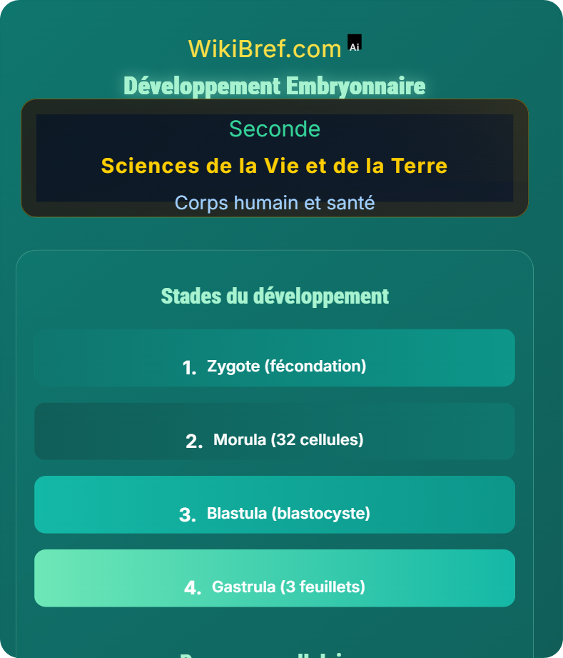 De la fécondation à la puberté Corps humain et santé
