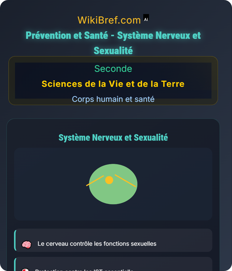 Le système nerveux et sexualité Corps humain et santé