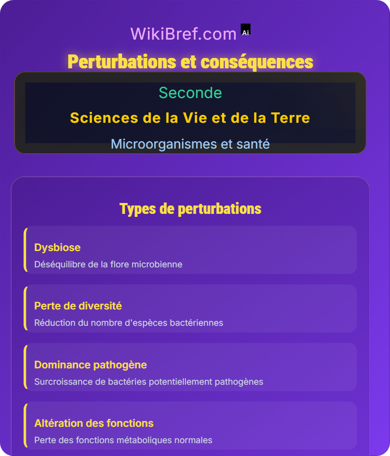 Symbiose et microbiote humain Microorganismes et santé