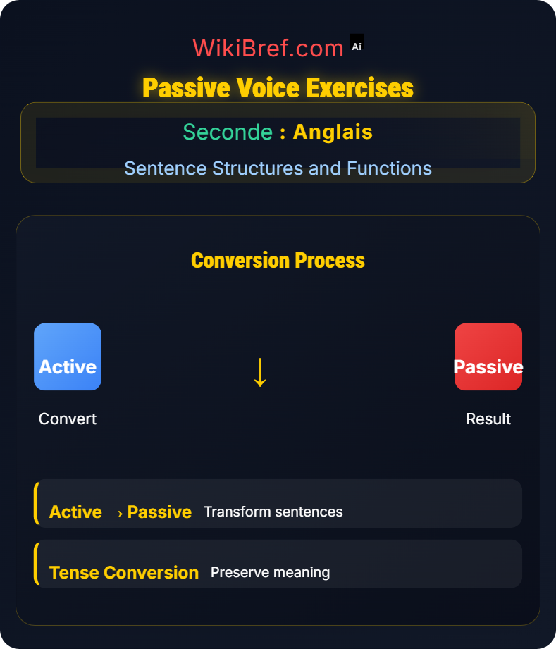 Passive Voice Sentence Structures and Functions