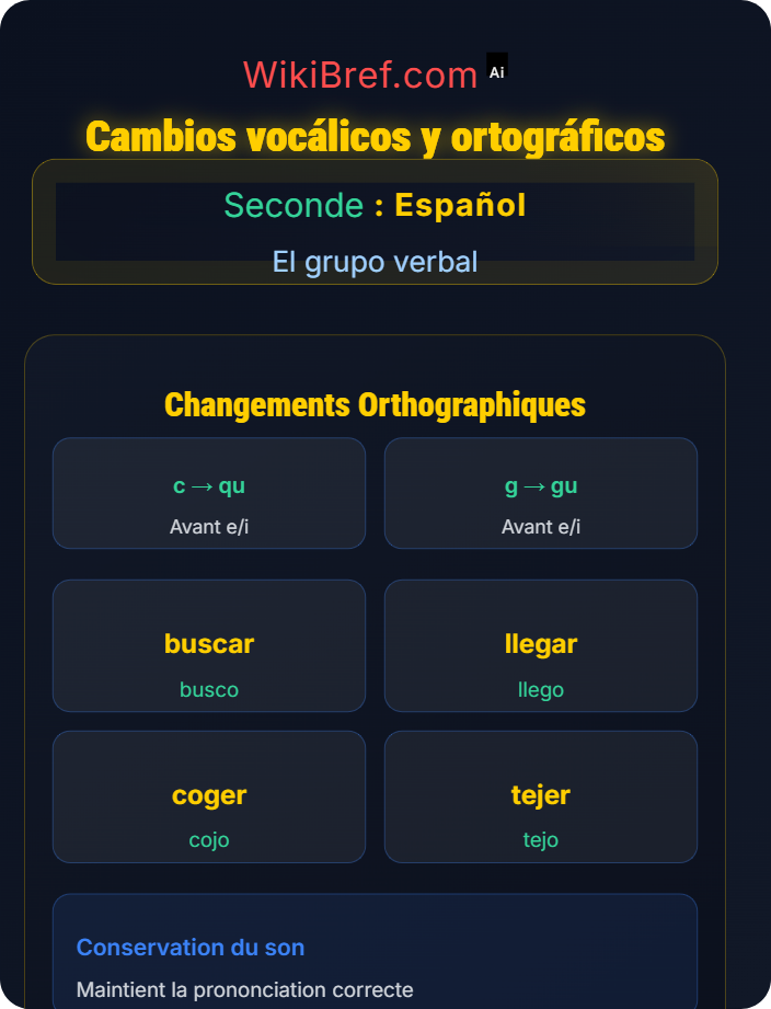 Cambios vocálicos y ortográficos Verbos regulares e irregulares