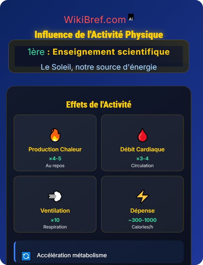 Influence de l’activité physique Le bilan thermique du corps humain