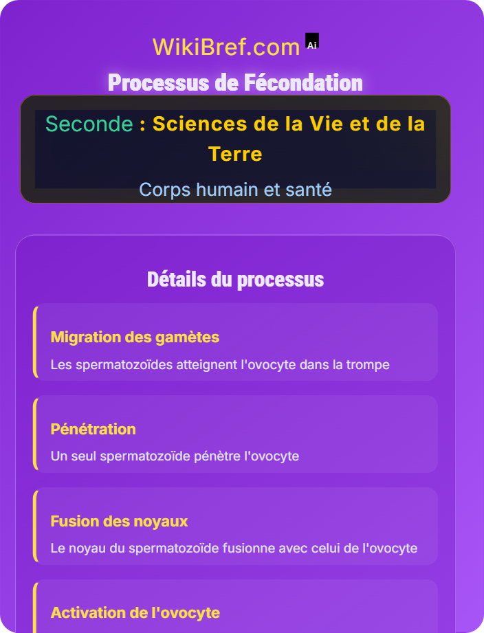 Processus de fécondation De la fécondation à la puberté