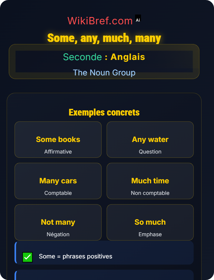 Some, any, much, many Quantifiers and Expressions of Quantity