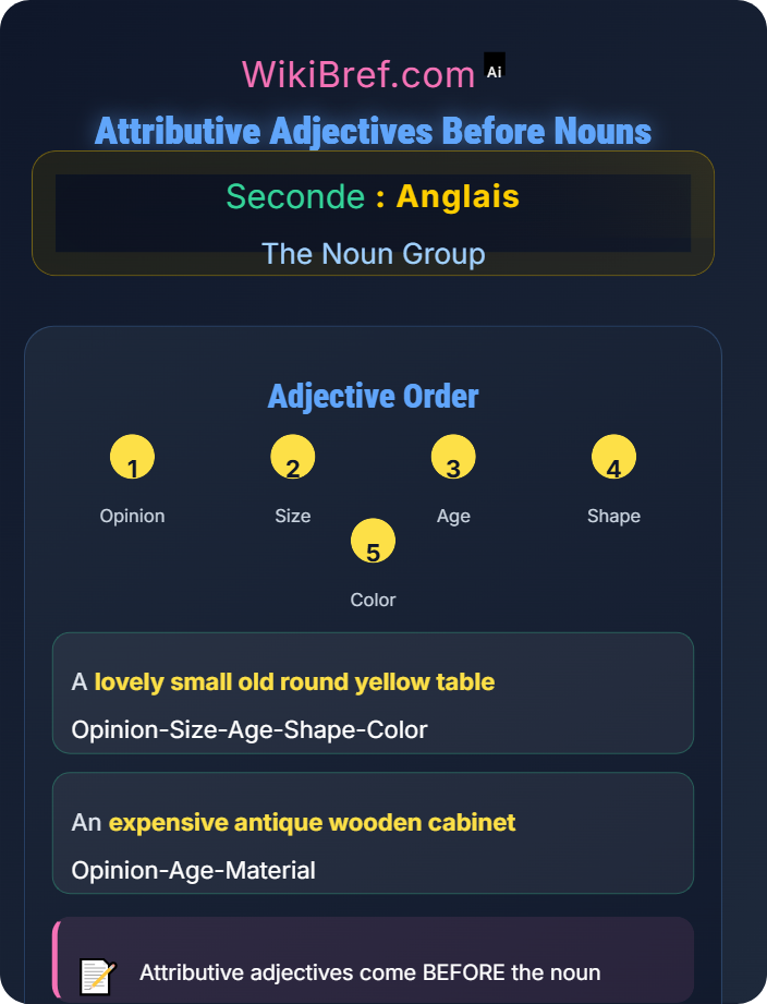 Attributive adjectives before nouns Adjectives and Their Order