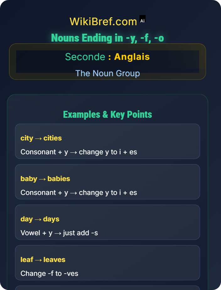 Nouns ending in -y, -f, -o Plural Formation and Exceptions